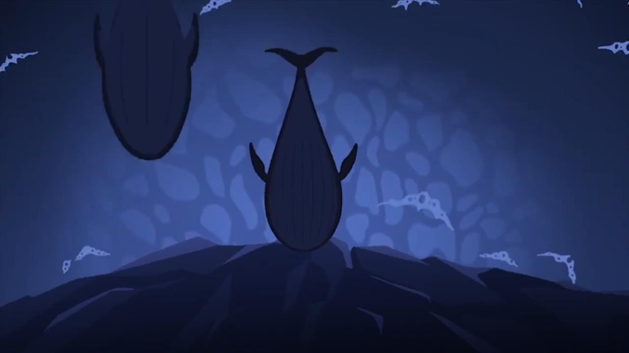 公益短片-The Penguin and The Whale