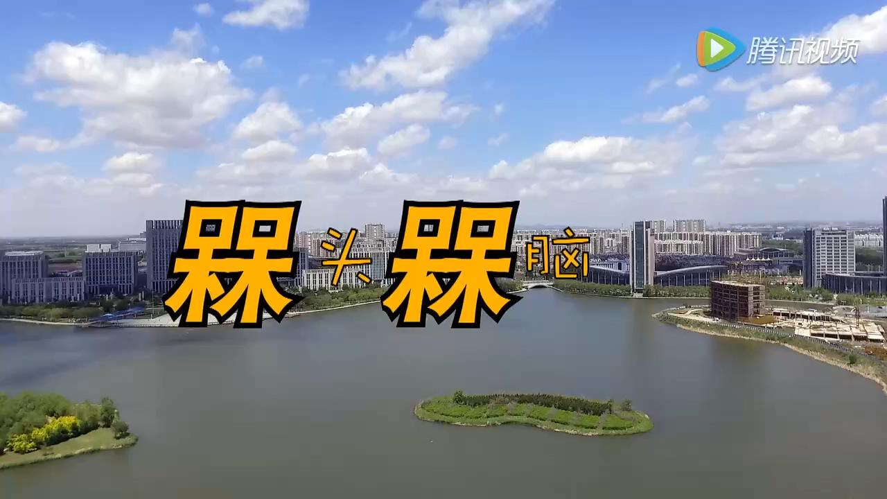 呆头呆脑