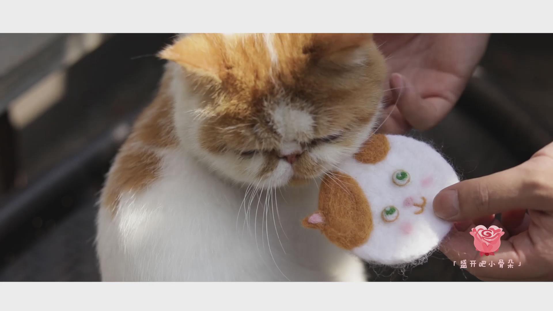 DIY可爱猫咪杯垫，要被这只猫萌死了！